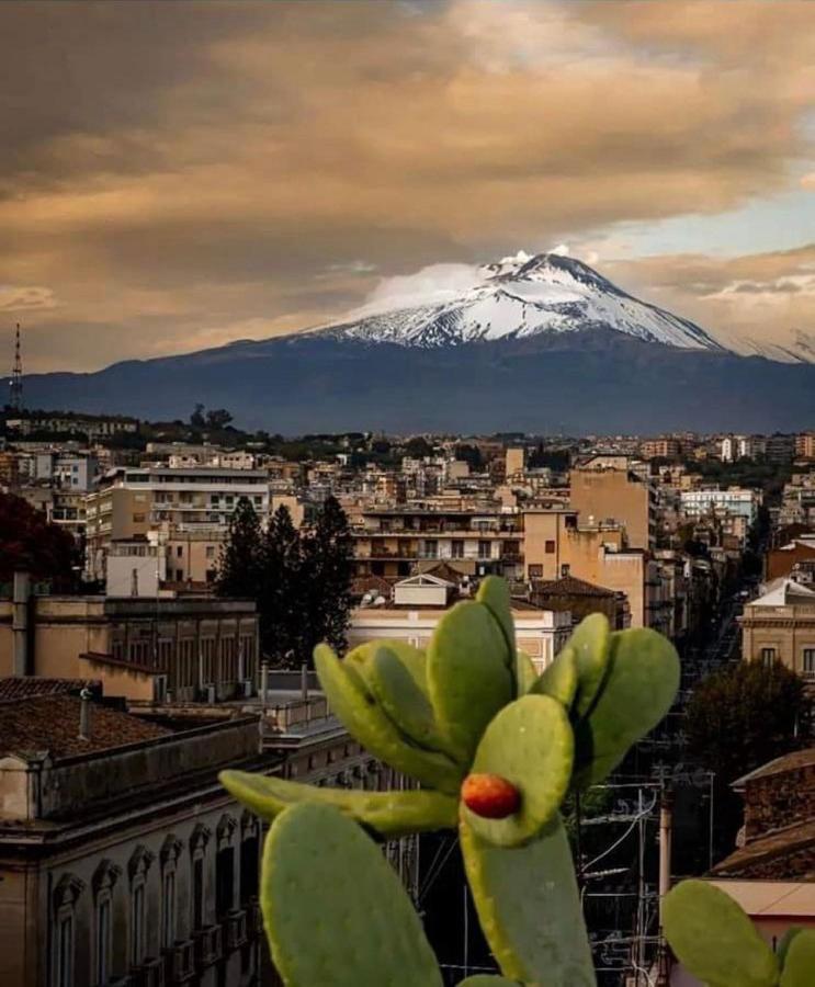 Catania Apartment Borgo Suite Autonomous Екстериор снимка